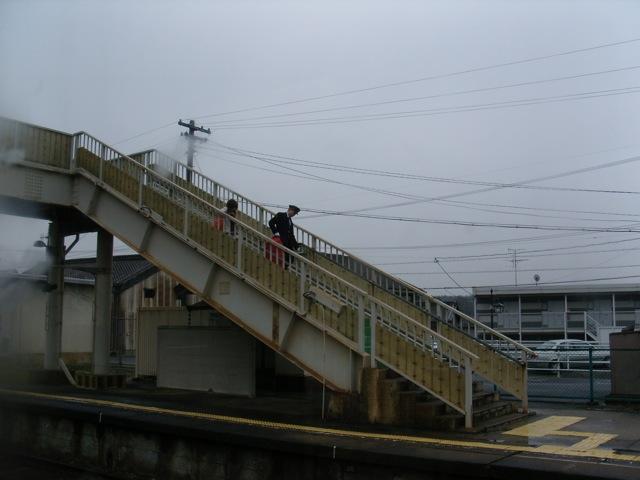 SNV11676.jpg